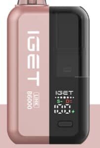 IGET Link B6000 Watermelon Ice – 6,000 Puffs Disposable Vape