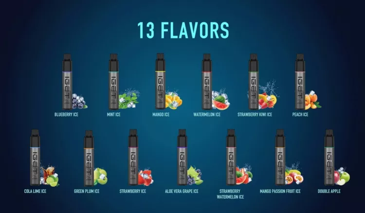 Best Price iGET L5500 Puffs Vape Online